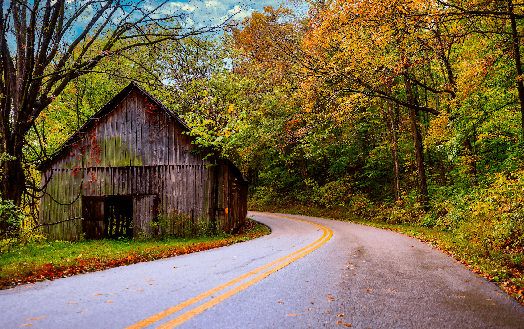 Cadiz Trigg, KY